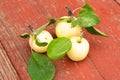 Green fresh apples on wooden table close up, rustic style, selective focus Royalty Free Stock Photo