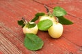 Green fresh apples on wooden table close up, rustic style, selective focus Royalty Free Stock Photo