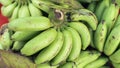 Green fresh bananas in Asia Wide Angle image Royalty Free Stock Photo