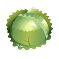 Green fresh bright cabbage with green leaves, healthy food, vegetables vector icon. Cabbage with big bright green leaves. Drops on Royalty Free Stock Photo