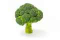 Green fresh broccoli isolated on white background. Healthy vegan food. High quality photo Royalty Free Stock Photo