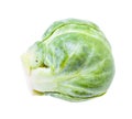 Green fresh brussels sprout isolated on white Royalty Free Stock Photo