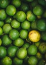 Green and fresh bunch of limes Royalty Free Stock Photo