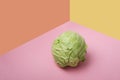 Green fresh cabbage on the pink surface, orange and yellow background.Empty space