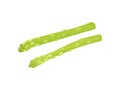 Green fresh celery stalk on white background. Royalty Free Stock Photo