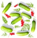 Green fresh cucumbers and red currant isolated on white background Royalty Free Stock Photo