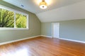 Green fresh empty room with view of trees.