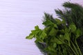 Green fresh fennel and parsley in a bunch Royalty Free Stock Photo
