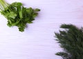 Green fresh fennel and parsley in a bunch Royalty Free Stock Photo