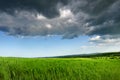 Green fresh field, Blue Dramatic Sky