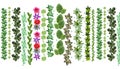 Green Fresh Garden Leaves and Flowers Pattern