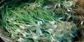 green fresh garlic vegetables kept into organic produce store Royalty Free Stock Photo