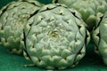 Green fresh globe artichokes on market display