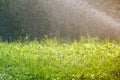 Green fresh grass with falling drops of morning rain water. Beautiful summer background with bokeh and blurred background. Low Royalty Free Stock Photo
