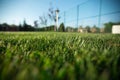 Green fresh grass on stadium with light sun Royalty Free Stock Photo