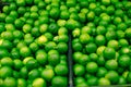 Green fresh green limes background. Group of green limes Royalty Free Stock Photo