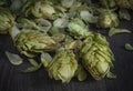 Green fresh hop cones on a dark background for making beer Royalty Free Stock Photo