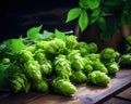 Green fresh hop cones are used to make beer and bread.