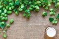 Green Fresh Hops with Wheat and Beer as copy space frame text area on sackcloth background Royalty Free Stock Photo