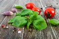 Green fresh leaves of organic basil and small ripe tomatoes salt and pepper Royalty Free Stock Photo