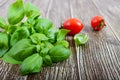 Green fresh leaves of organic basil and small ripe tomatoes on a wooden background Royalty Free Stock Photo