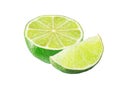 green fresh lime fruit half isolated on the white Royalty Free Stock Photo
