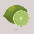 Green Fresh lime and lemon slice, icon isolated on grey background. Royalty Free Stock Photo