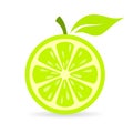 Green fresh lime vector icon Royalty Free Stock Photo