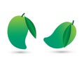 Green sour and fresh mango vector illustration Royalty Free Stock Photo