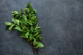 Green, fresh mint on a black concrete background. View from above