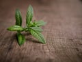 Green fresh mint on the wooden table, selective focus Royalty Free Stock Photo