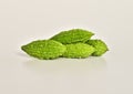 Green fresh Momordica charantia on white background Royalty Free Stock Photo