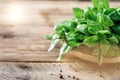 Green fresh organic basil on wooden background with copyspace. Herbs and spices for cooking Royalty Free Stock Photo