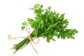 green fresh parsley isolated on white background. parsley bunch Royalty Free Stock Photo