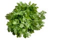 Green fresh parsley isolated on white background. parsley bunch Royalty Free Stock Photo