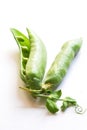 Green fresh peas Royalty Free Stock Photo