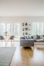 Green fresh plants in pots placed on shelves in white living room interior with grey corner couch with pillows and bright carpet o