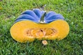 Green fresh pumpkin half slice on garden grass Royalty Free Stock Photo