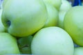Green fresh ripe bulk apples Royalty Free Stock Photo