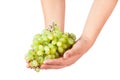 Green fresh ripe grape Royalty Free Stock Photo