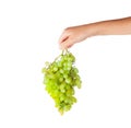 Green fresh ripe grape Royalty Free Stock Photo