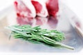 Green fresh rosemary on a metal tray, Three lamb loin chops out of focus in the background. Meat industry. Best combination of