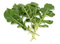 green fresh rucola leaves isolated on white background. Rocket salad or arugula. Royalty Free Stock Photo