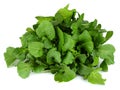 green fresh rucola leaves isolated on white background. Rocket salad or arugula Royalty Free Stock Photo