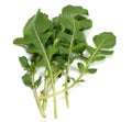 green fresh rucola leaves isolated on white background. Rocket salad or arugula. Royalty Free Stock Photo