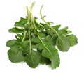 green fresh rucola leaves isolated on white background. Rocket salad or arugula. Royalty Free Stock Photo