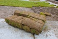 Green fresh sod grass in rolls for lawn and designer landscape in a roll on pallets Royalty Free Stock Photo