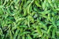 Green fresh soybean for background, ripe organic green pods of peas