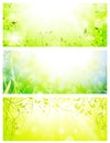 Green fresh sunny banners Royalty Free Stock Photo