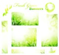 Green fresh sunny banners Royalty Free Stock Photo